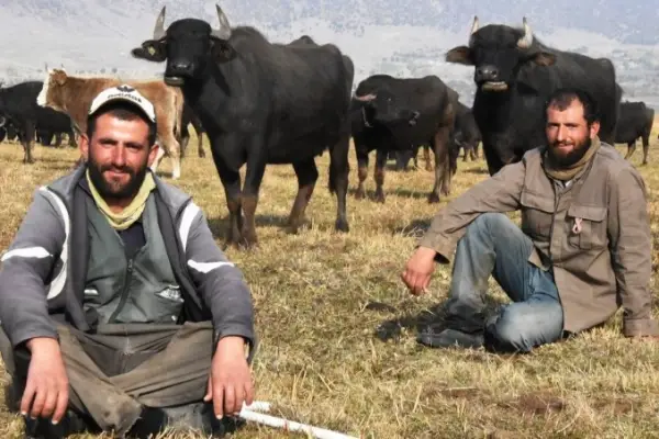 Sağır ve dilsiz kardeşler 20 yıldır çobanlık yapıyor