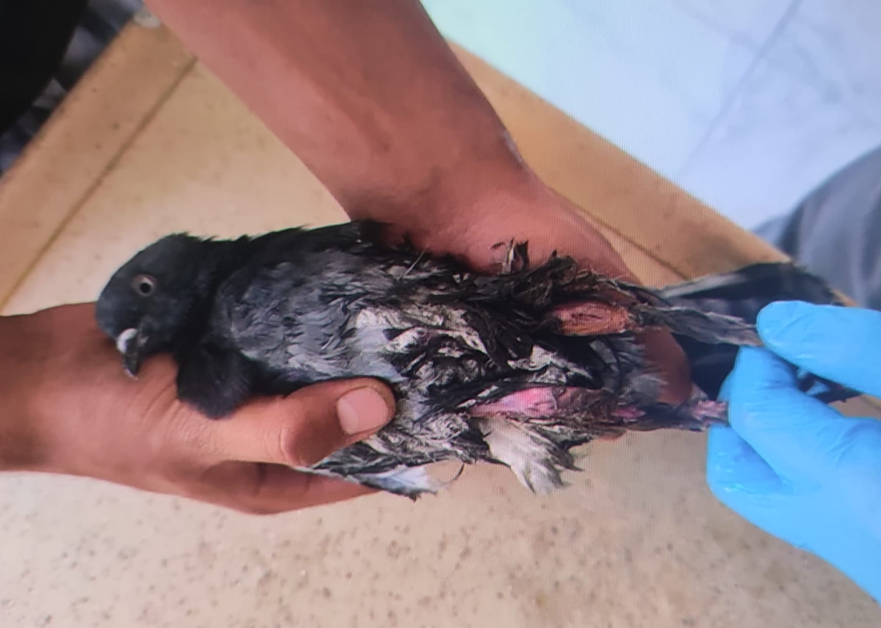 Tedavi ve Rehabilitasyon Süreçleri: