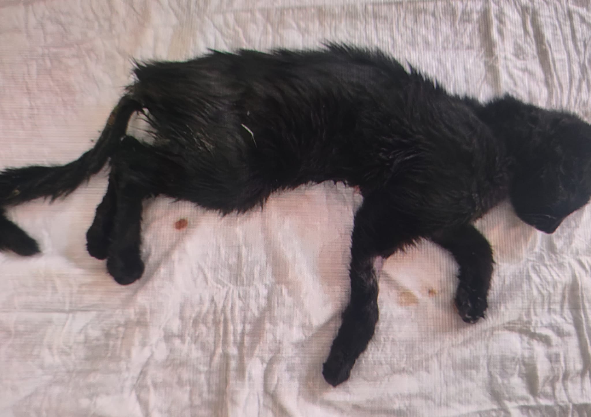 Tedavi ve Rehabilitasyon Süreçleri: