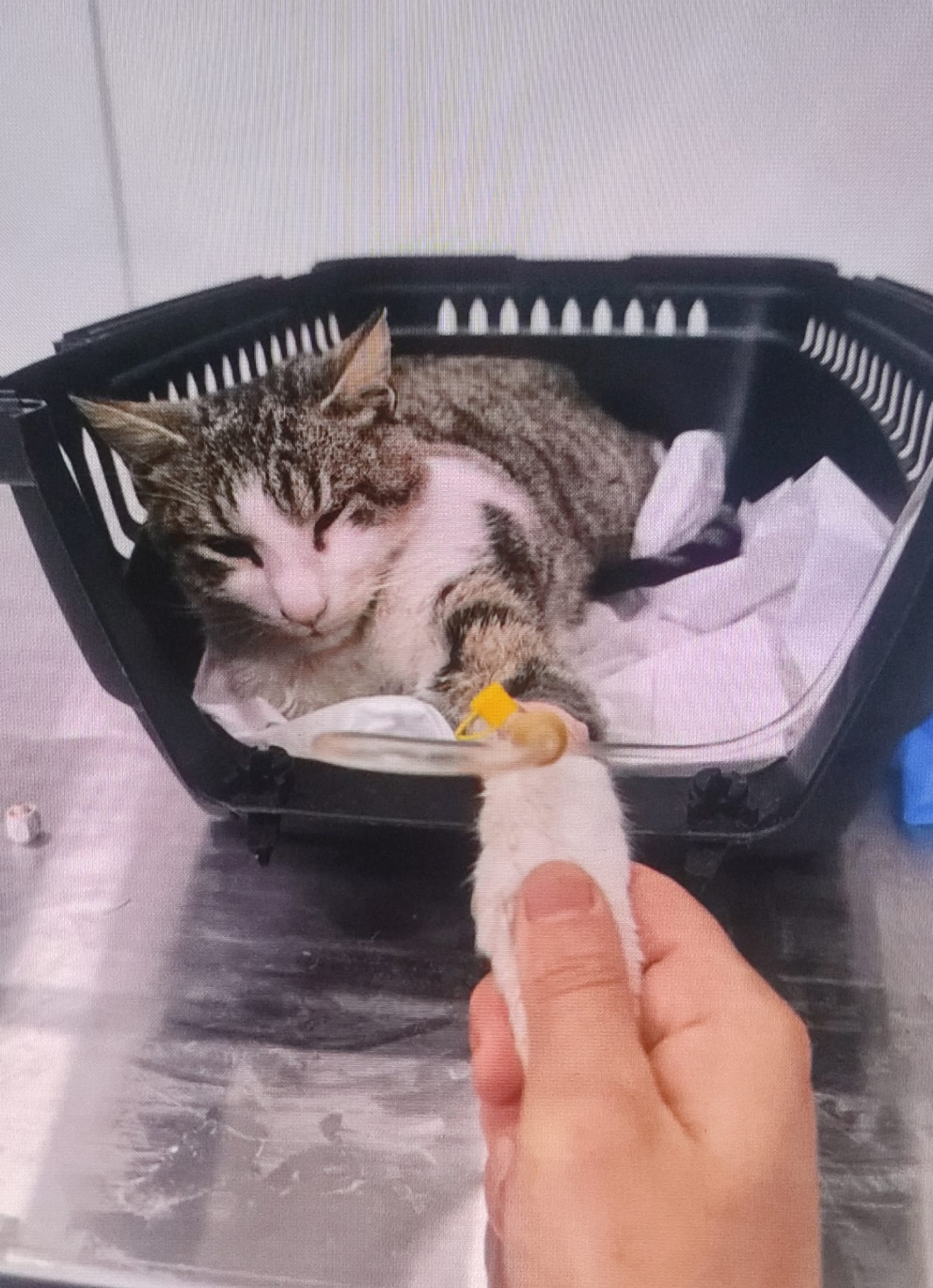 Tedavi ve Rehabilitasyon Süreçleri: