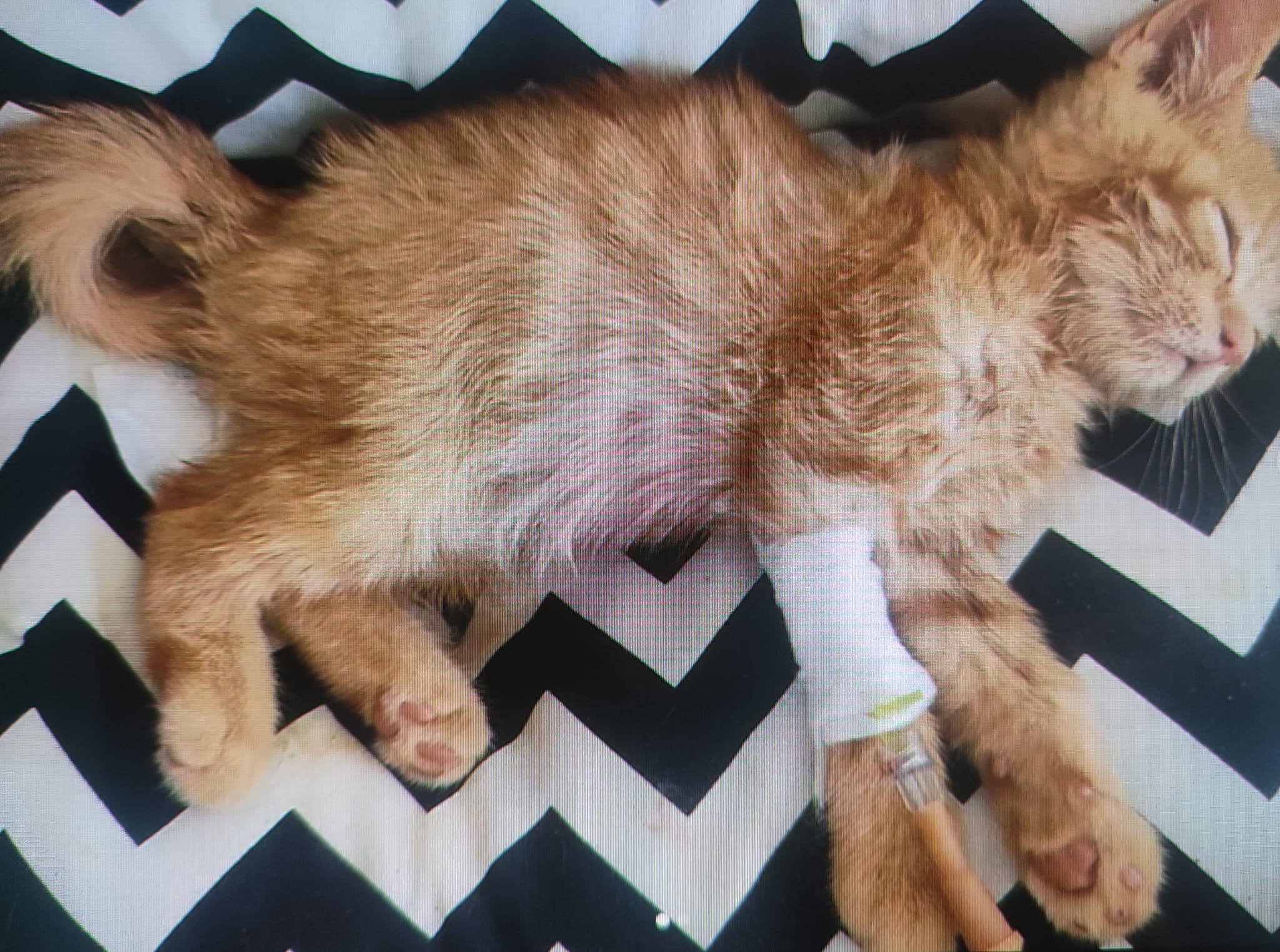 Tedavi ve Rehabilitasyon Süreçleri: